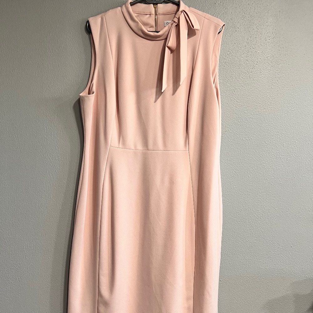Calvin Klein Pink Nude Dress